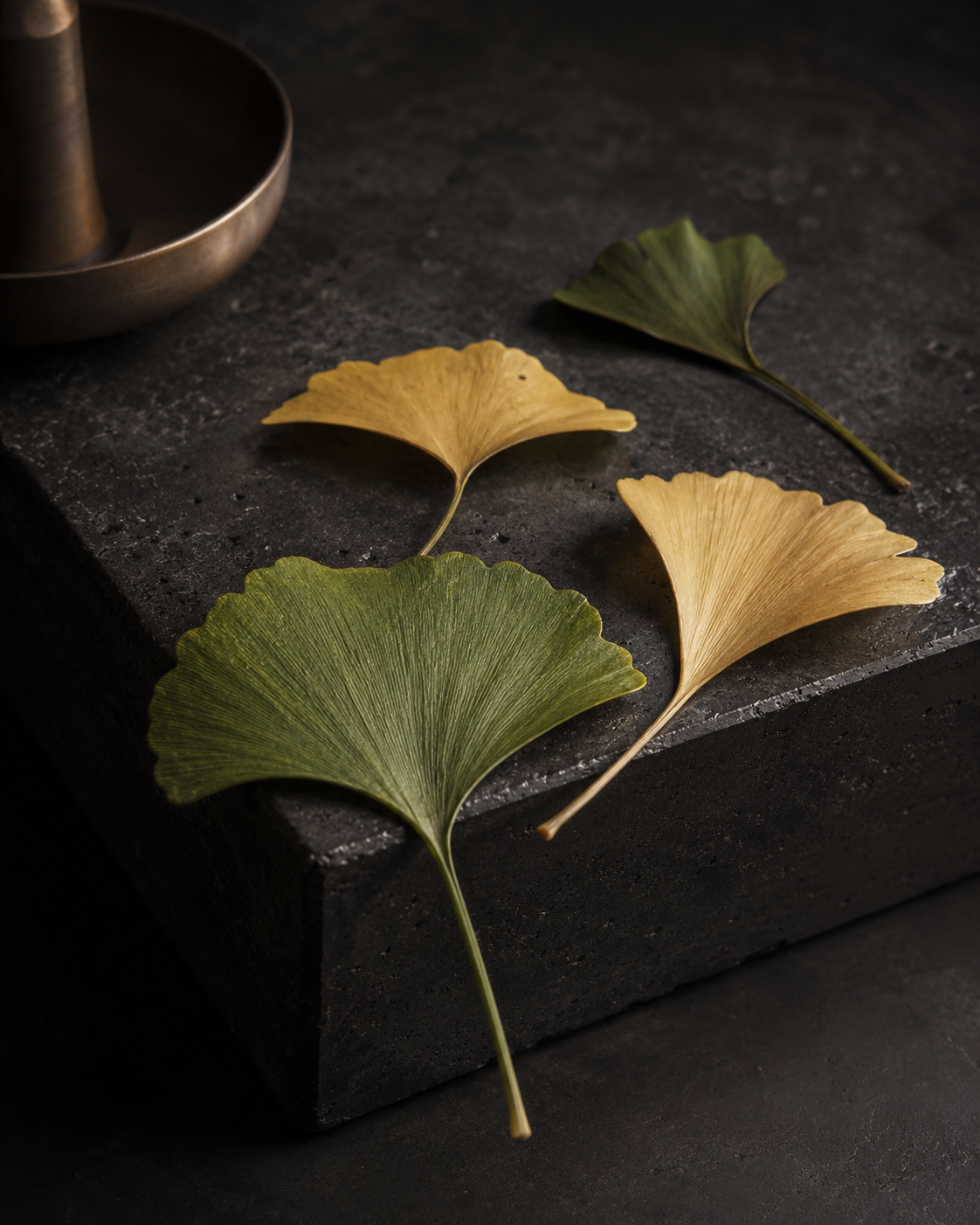 Ginkgo-Blaetter