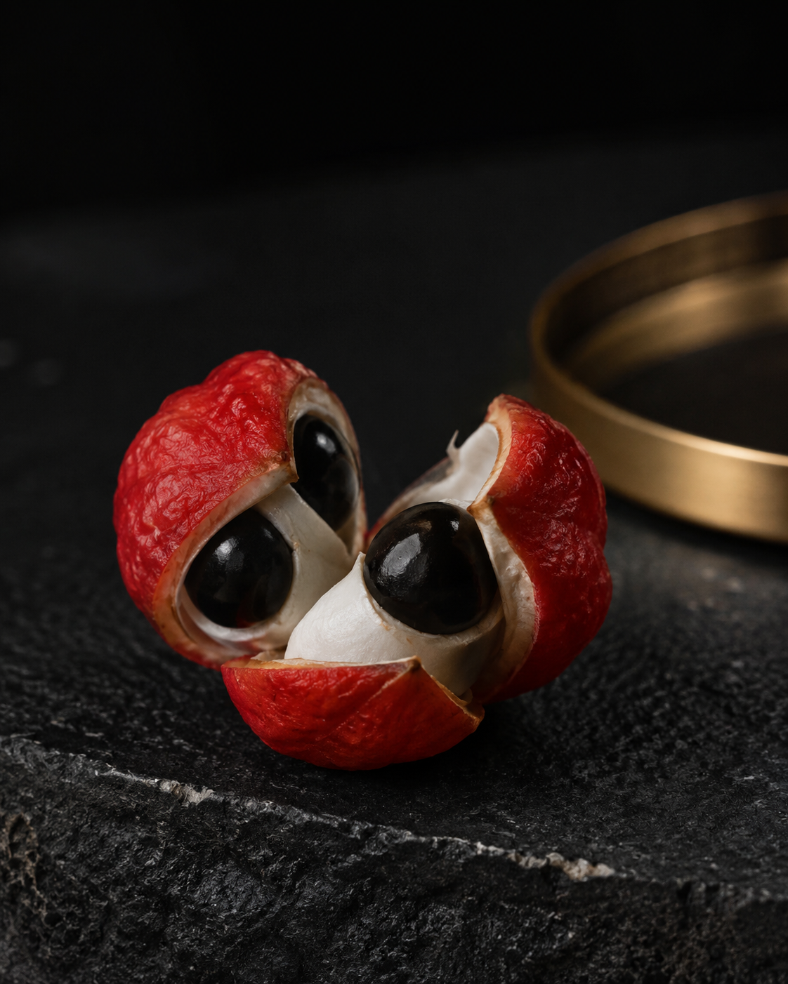 Guarana-Frucht