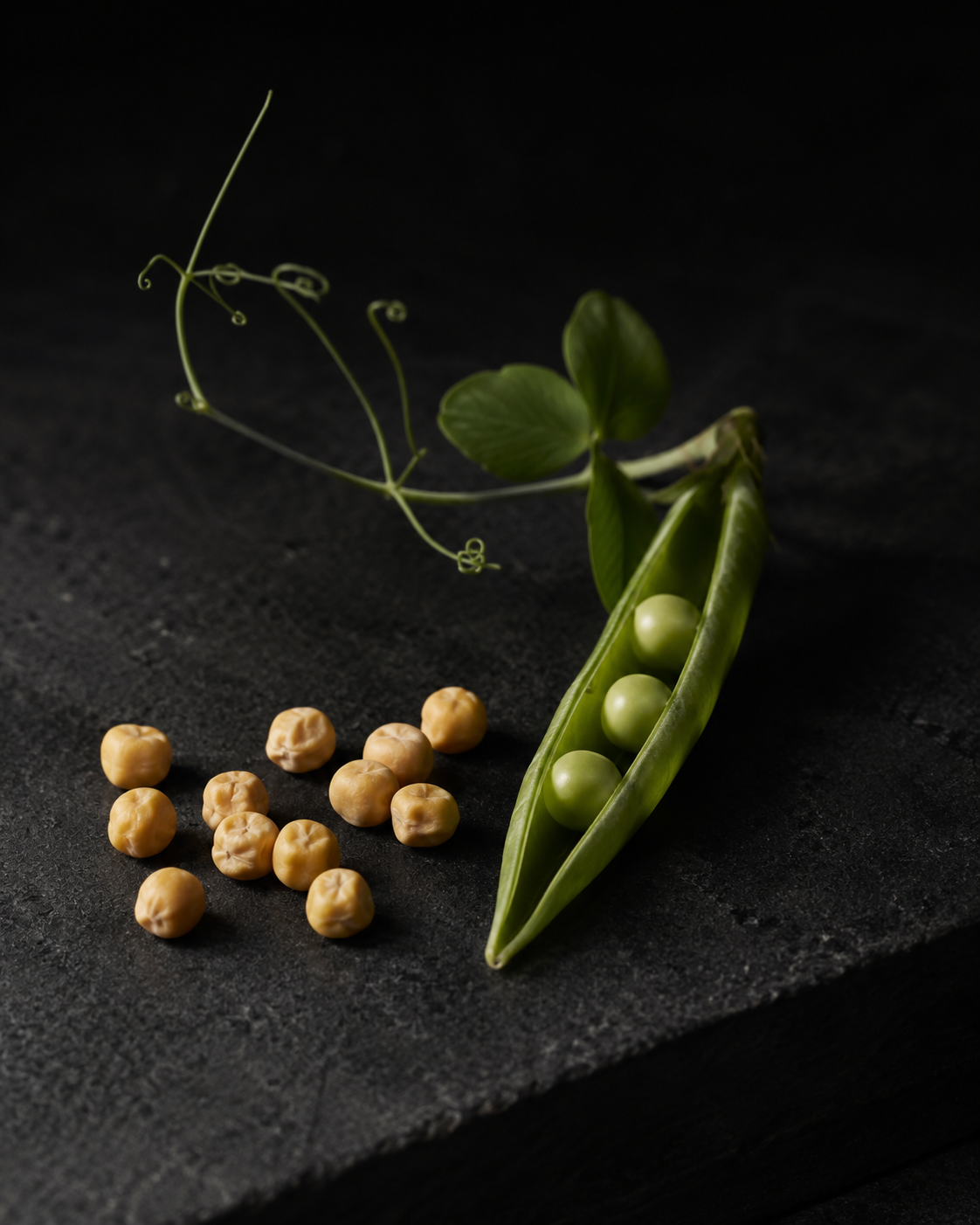 Puris Erbsenprotein